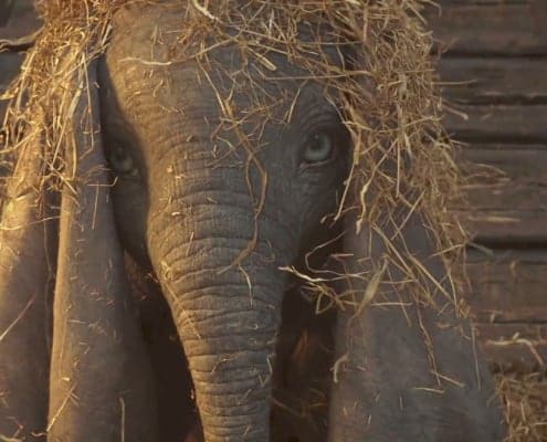 dumbo film